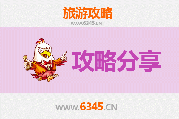 南皮至湄洲岛旅游攻略：跟团与自由行深度对比